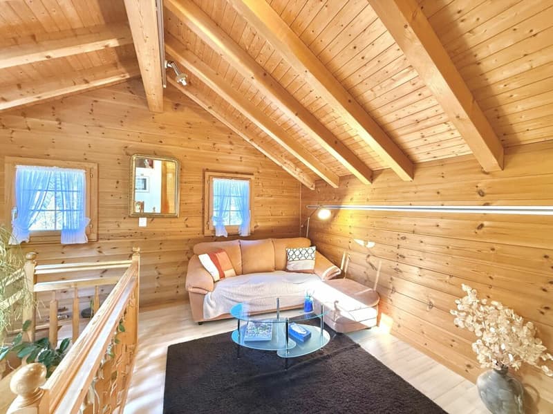 Chalet de 4,5 pièces avec  5245m2 de terrain (17)