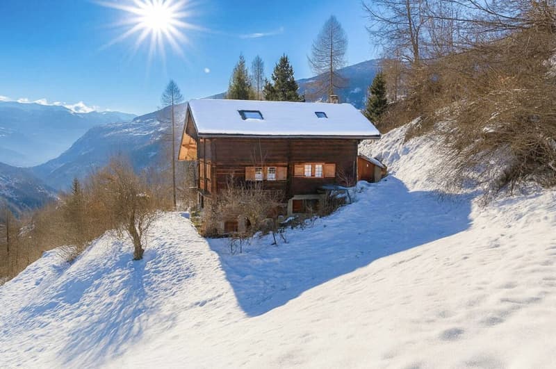 Chalet de 4,5 pièces avec  5245m2 de terrain (25)