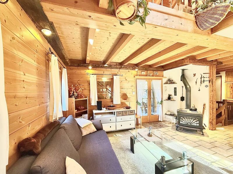 Chalet de 4,5 pièces avec  5245m2 de terrain (6)