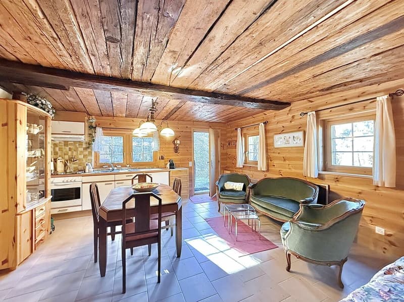 Chalet de 4,5 pièces avec  5245m2 de terrain (8)