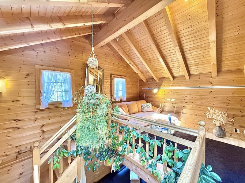 Chalet de 4,5 pièces avec  5245m2 de terrain (16)