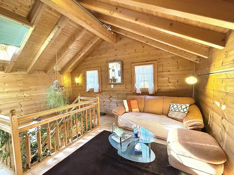 Chalet de 4,5 pièces avec  5245m2 de terrain (13)
