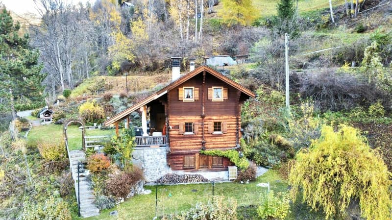 Chalet de 4,5 pièces avec  5245m2 de terrain (3)