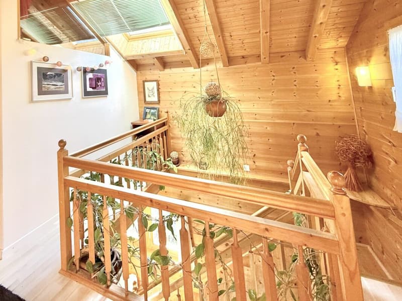 Chalet de 4,5 pièces avec  5245m2 de terrain (19)