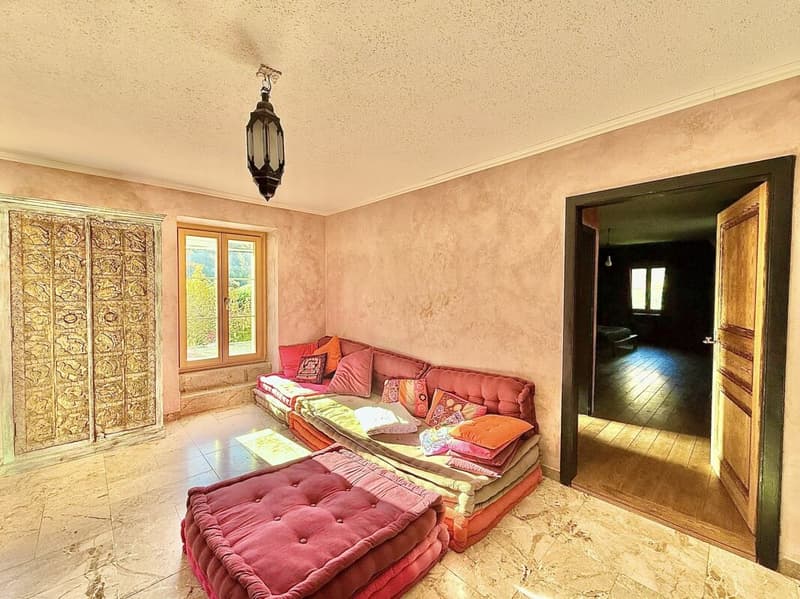 Maison de 405 m2 avec terrain de 4'413 m2 à Bex (21)