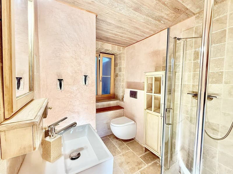 Maison de 405 m2 avec terrain de 4'413 m2 à Bex (18)