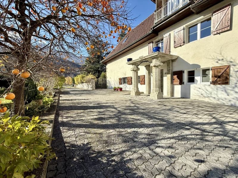 Maison de 405 m2 avec terrain de 4'413 m2 à Bex (7)