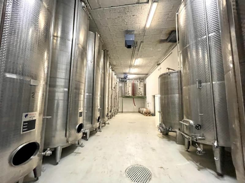 Domaine viticole 10 pièces 578 m2 à Salgesch (5)