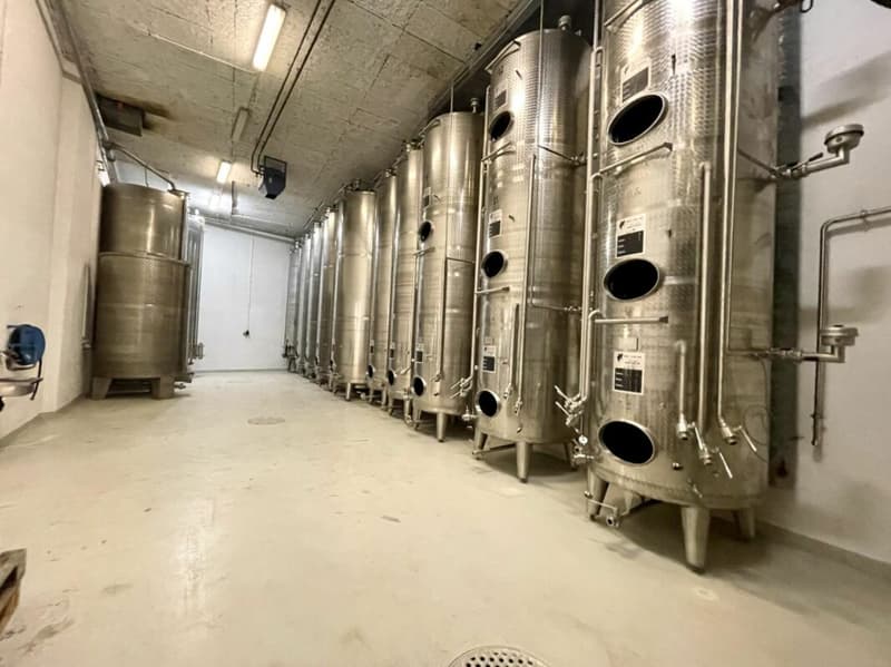Domaine viticole 10 pièces 578 m2 à Salgesch (6)