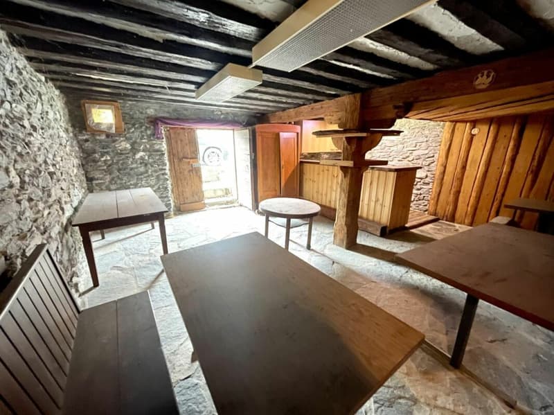Domaine viticole 10 pièces 578 m2 à Salgesch (18)
