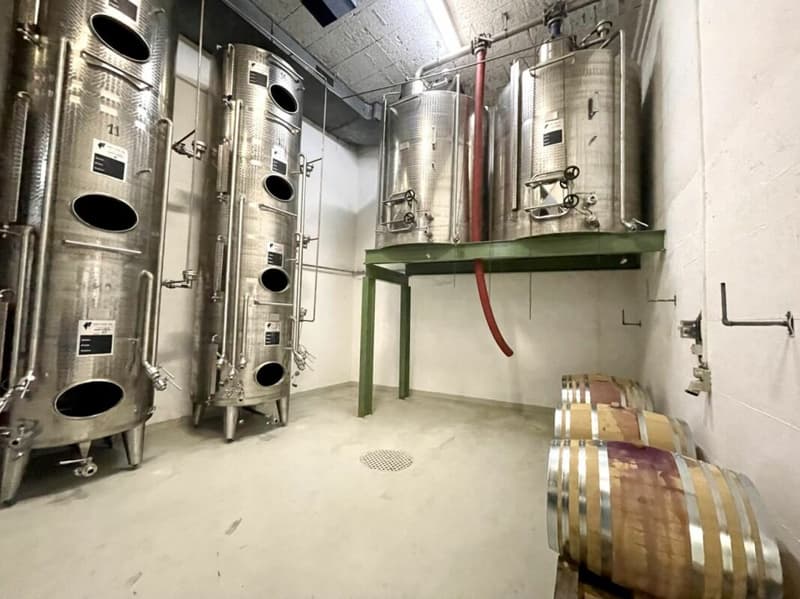 Domaine viticole 10 pièces 578 m2 à Salgesch (8)