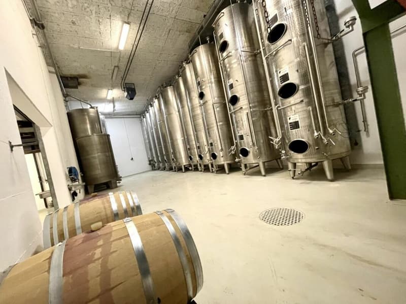 Domaine viticole 10 pièces 578 m2 à Salgesch (3)
