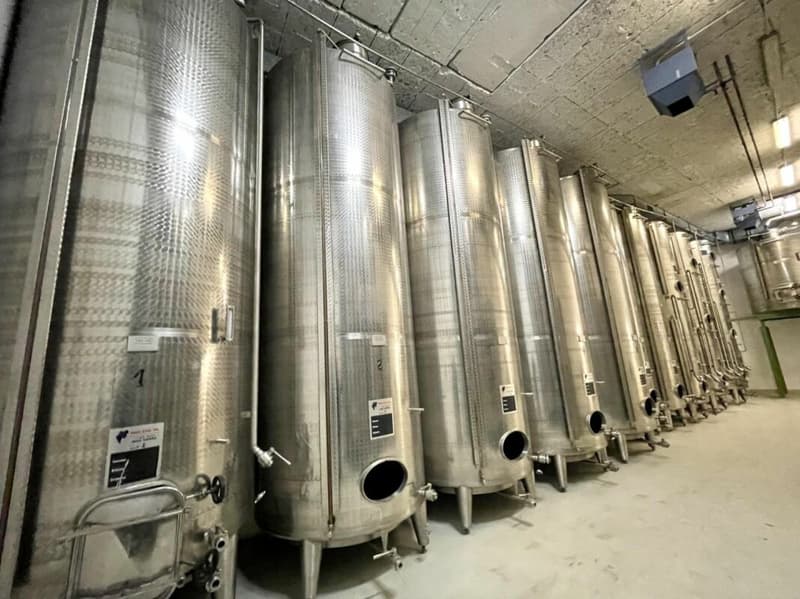 Domaine viticole 10 pièces 578 m2 à Salgesch (7)