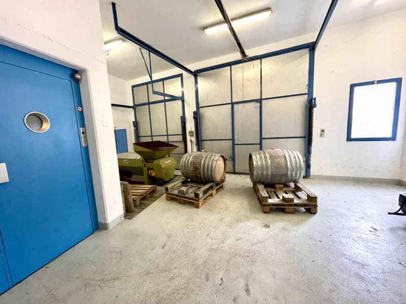 Domaine viticole 10 pièces 578 m2 à Salgesch (10)