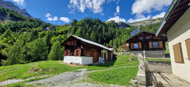 Chalet 3.5 pièces à Savièse (3)