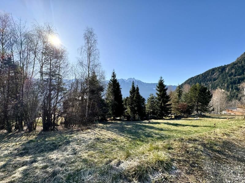 Terrain à Ovronnaz (7)