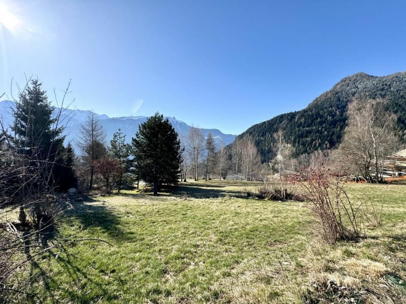 Terrain à Ovronnaz (8)