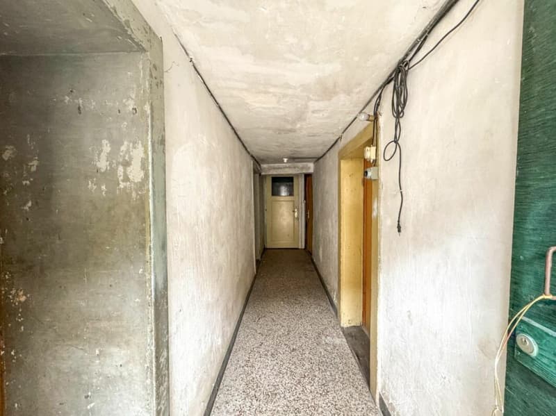 Maison multi-appartements 10 pièces à Ardon (17)