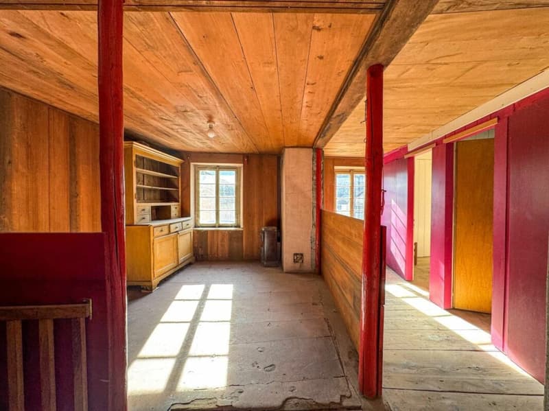 Maison multi-appartements 10 pièces à Ardon (13)