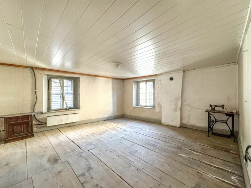 Maison multi-appartements 10 pièces à Ardon (7)