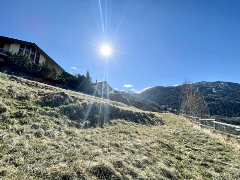 Terrain à Clèbes (Nendaz) (3)
