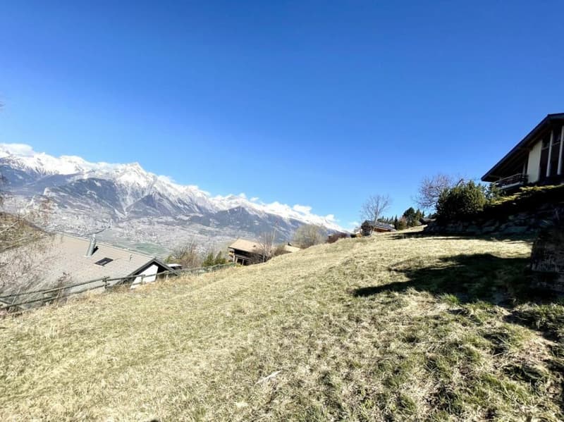 Terrain à Clèbes (Nendaz) (6)