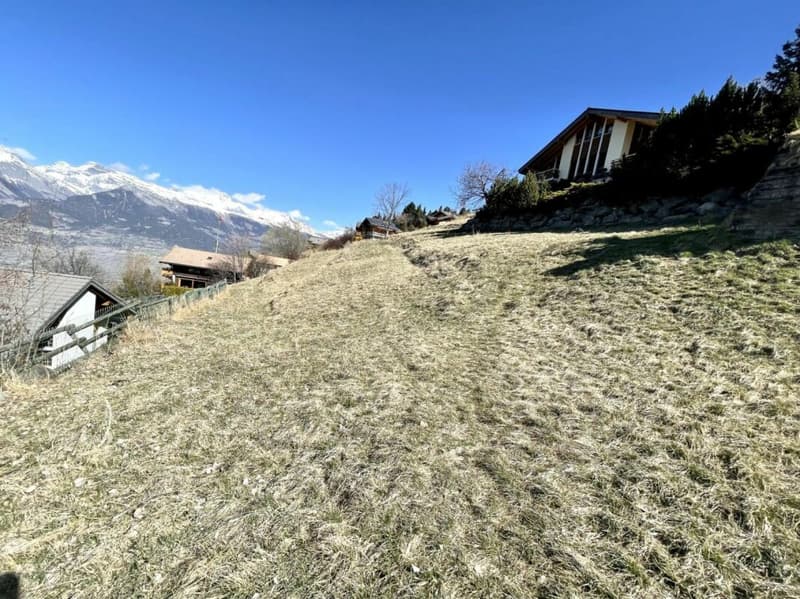 Terrain à Clèbes (Nendaz) (5)