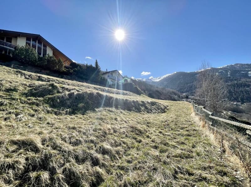 Terrain à Clèbes (Nendaz) (2)