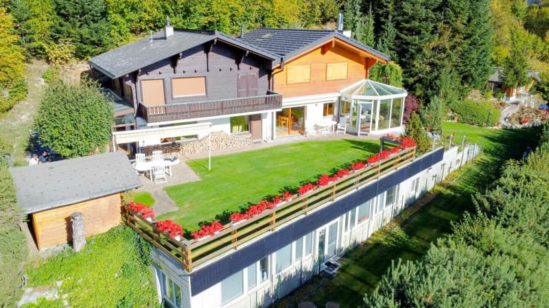 Chalet 9.5 pièces à Ovronnaz (2)