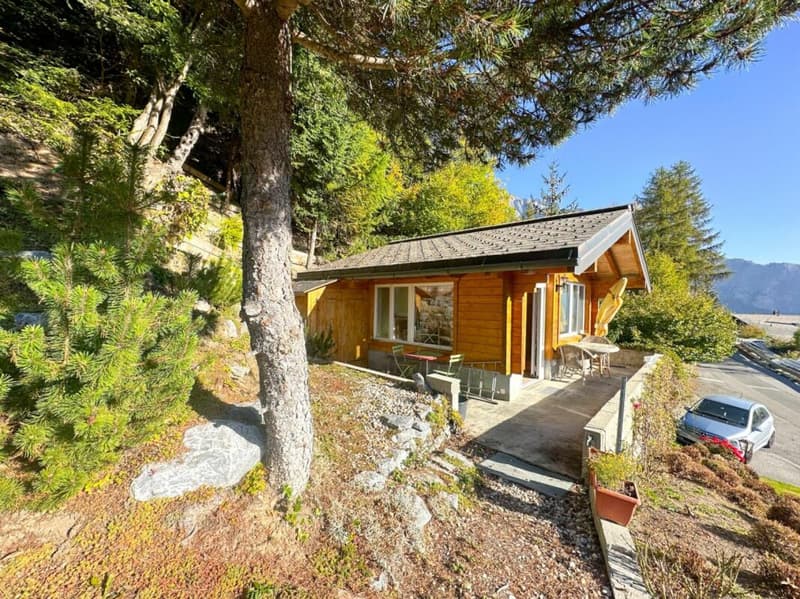 Chalet 9.5 pièces à Ovronnaz (9)