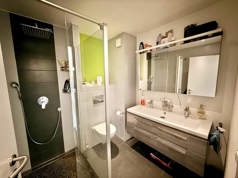 Appartement 5.5 pièces à Vétroz (14)