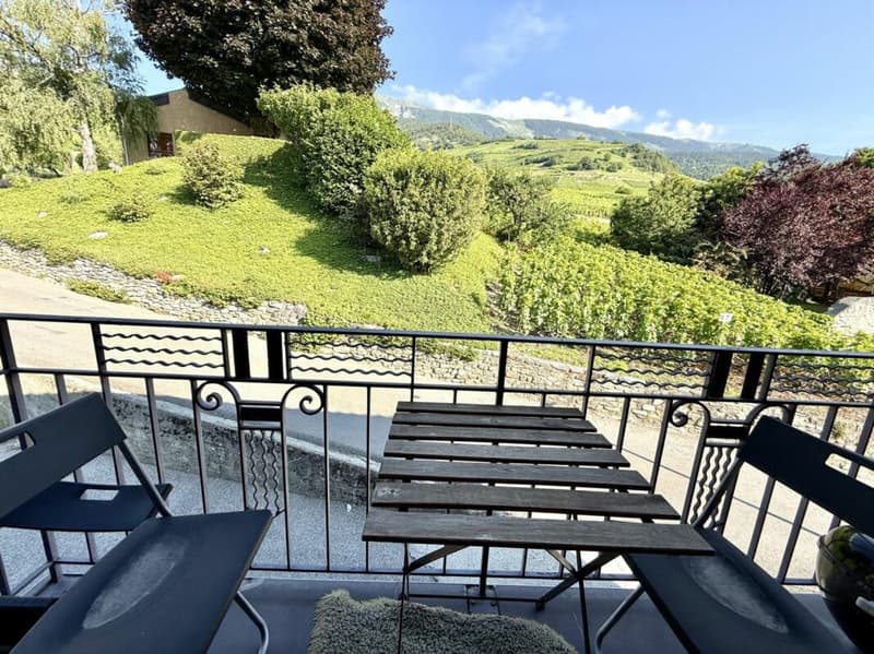 Appartement 4.5 pièces à St-Séverin (5)