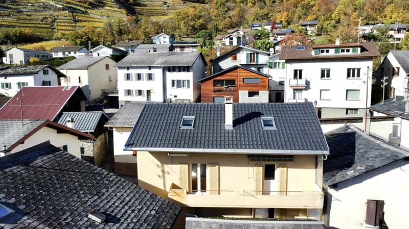 Maison avec 2 appartements à Fully (3)
