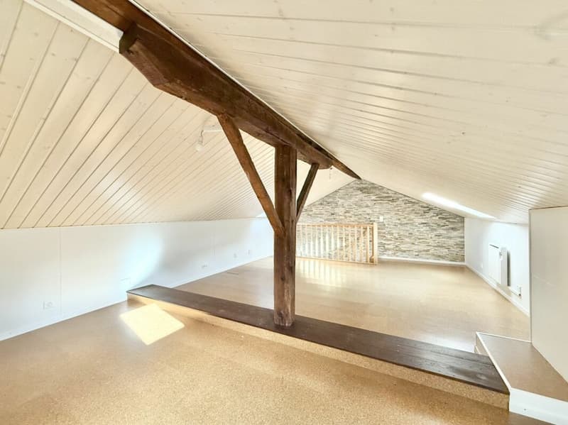 Maison avec 2 appartements à Fully (12)