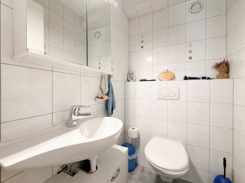 Vollständig renovierte 4,5-Zimmer-Wohnung in Gampel (15)