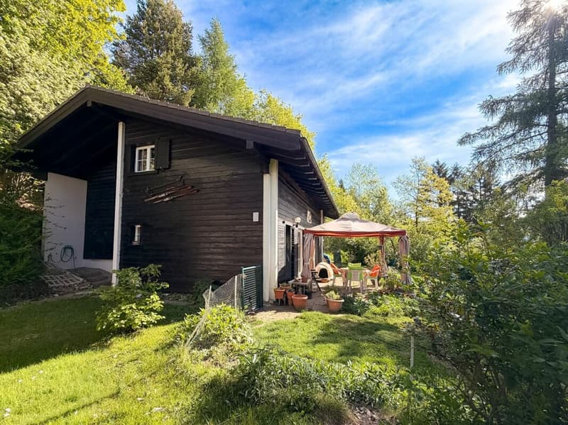 Chalet 6.5 pièce à Prafirmin commune de Savièse (2)