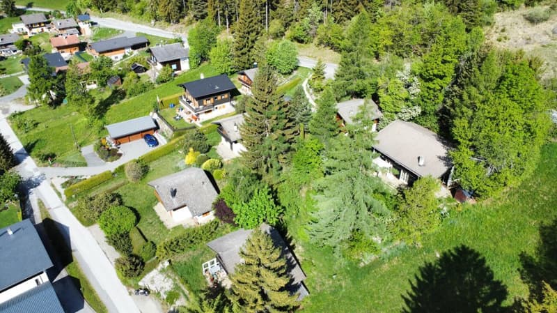 Chalet 6.5 pièce à Prafirmin commune de Savièse (7)