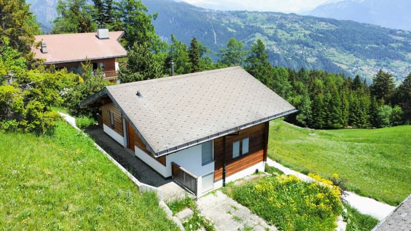 Chalet 5.5 pièces à Anzère (5)