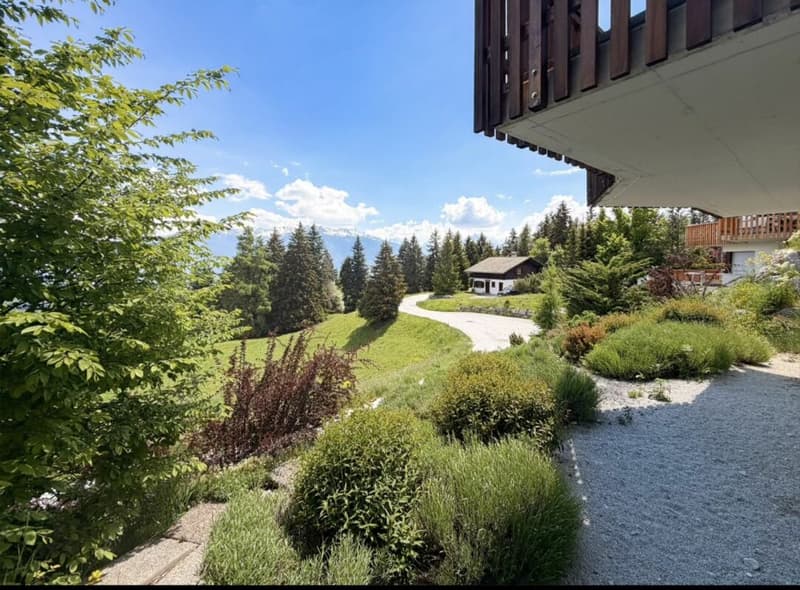 Chalet 5.5 pièces à Anzère (3)