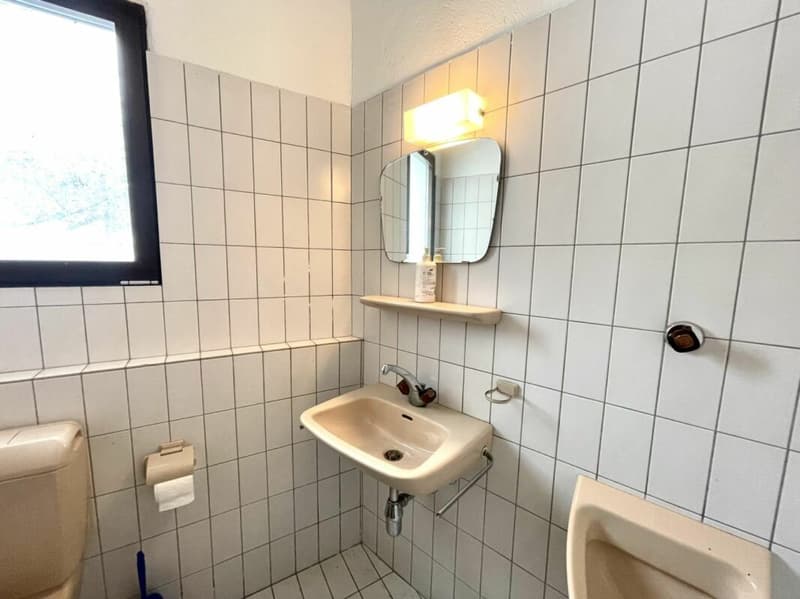Maison à rénover avec cave aménageable selon désire (17)