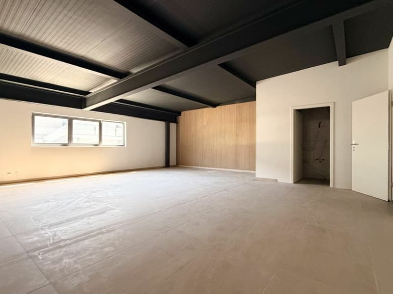 Bureaux / locaux commerciaux à louer à Saxon - Limite Riddes (2)