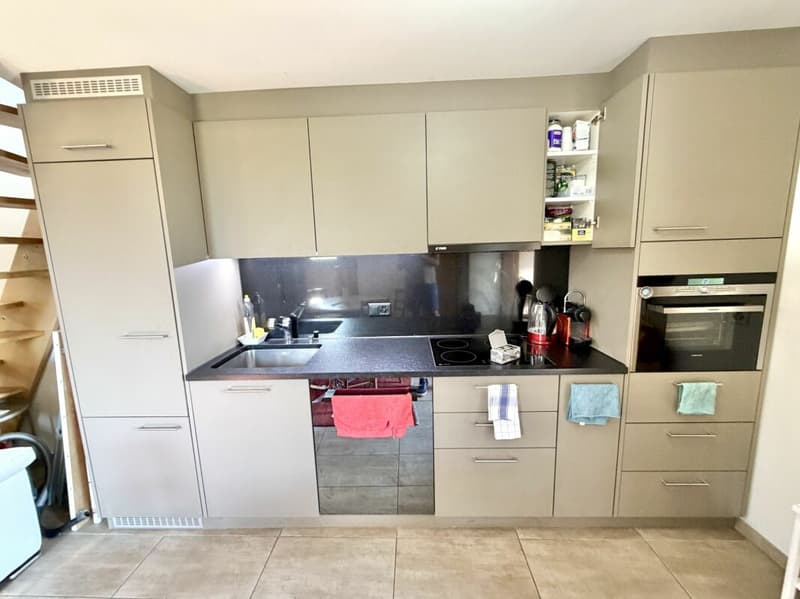 Maison de 3.5 pièce avec situation exceptionnelle à Vetroz (3)