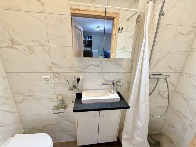 Maison de 3.5 pièce avec situation exceptionnelle à Vetroz (4)