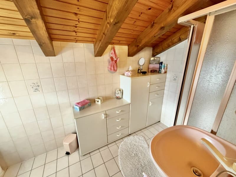 Maison 5.5 pièces sur 3 niveaux avec grande terrasse à St-Martin (32)