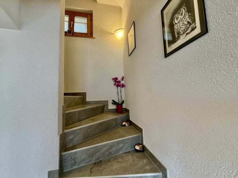 Maison 5.5 pièces sur 3 niveaux avec grande terrasse à St-Martin (27)