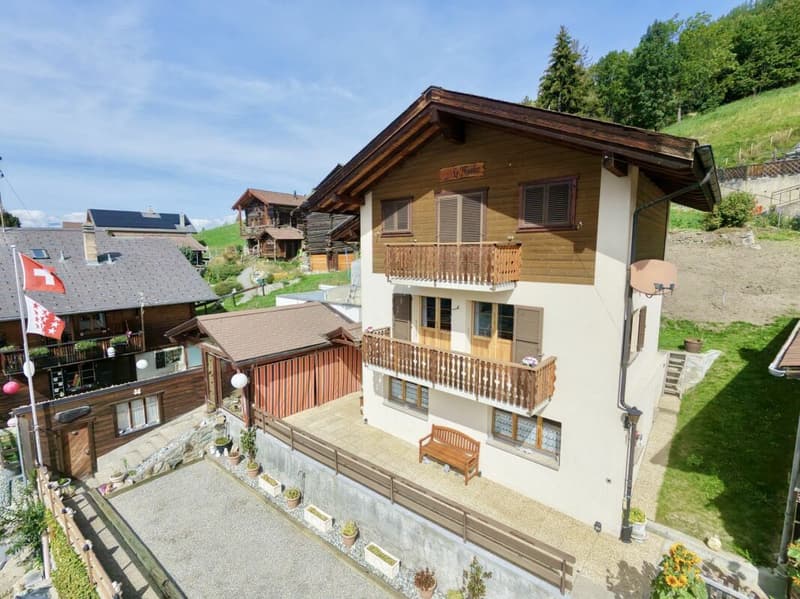 Maison 5.5 pièces sur 3 niveaux avec grande terrasse à St-Martin (1)