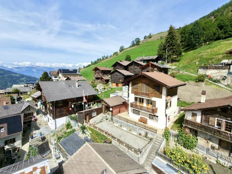 Maison 5.5 pièces sur 3 niveaux avec grande terrasse à St-Martin (12)
