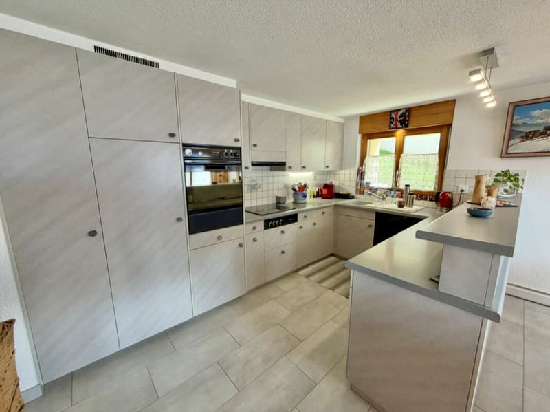 Maison 5.5 pièces sur 3 niveaux avec grande terrasse à St-Martin (20)