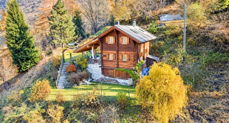 Chalet de 4,5 pièces avec 5245m2 de terrain (5)