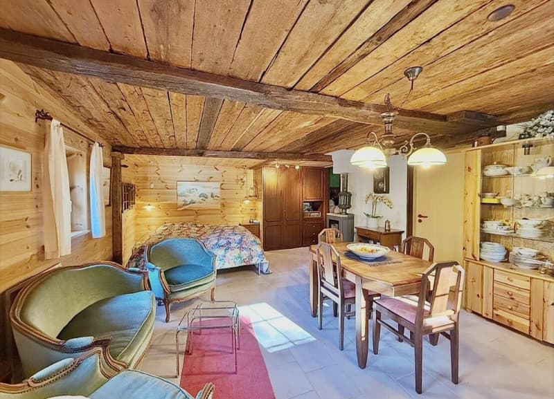 Chalet de 4,5 pièces avec 5245m2 de terrain (28)